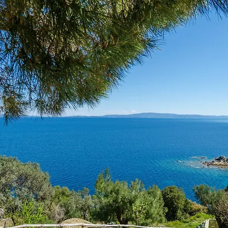 Nissi View *